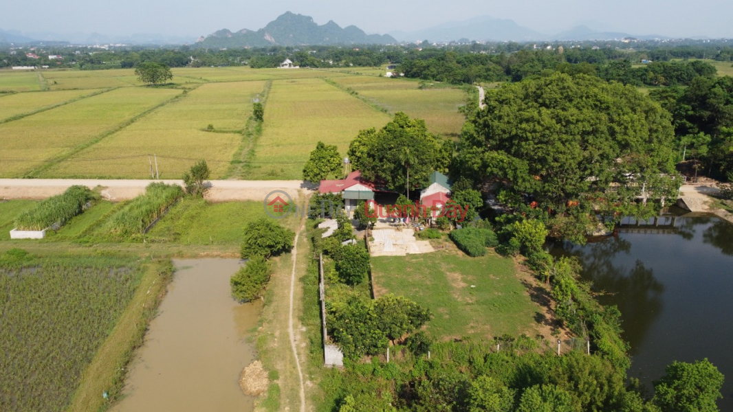 Property Search Vietnam | OneDay | Residential, Sales Listings LAND LOT FOR SALE AT TRUNG ME, THUAN LUONG VILLAGE, HOAN VAN THU COMMUNE, CHUONG MY, HANOI.