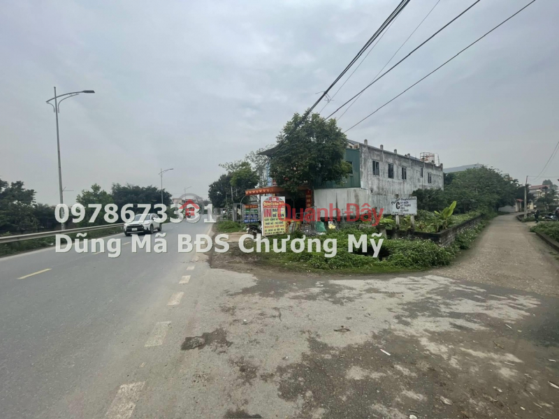 Property Search Vietnam | OneDay | Residential Sales Listings 77.7M OWN A LOT OF LAND AT TL419 DAI YEN-CHUONG MY