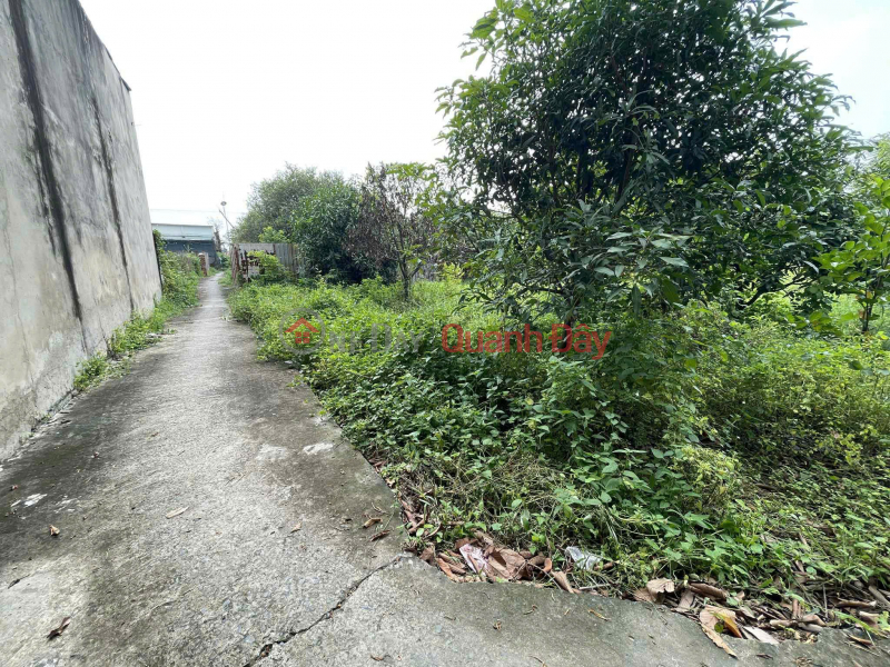 CHÍNH CHỦ Cần Bán Đất Thổ Cư Có Sẵn Nhà Tại 1561, Khu phố An Bình, Xã An Tịnh,Trảng Bàng, Tây Ninh Việt Nam | Bán đ 3,3 tỷ