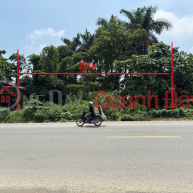 [Chính chủ] Bán lô đất 1000m2 mặt tiền 20m bám đường QL21 đối diện ĐH Lâm Nghiệp, view Hồ Xuân Mai _0