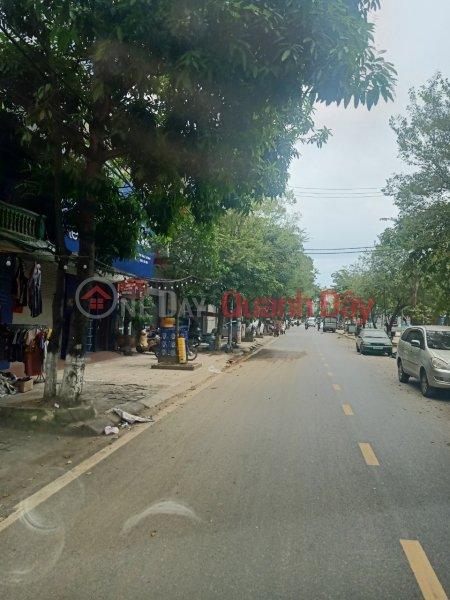 House and land for sale on Le Dai Hanh Street, Thai Binh City, Area 202m2 Sales Listings