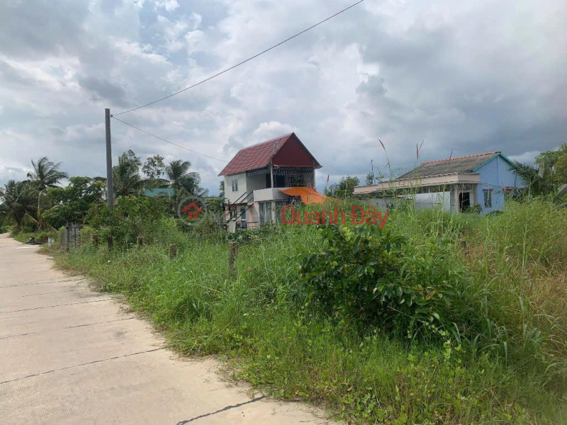 OWNER Urgently Needs to Sell Land in Thuan My Commune, Chau Thanh District, Long An Province | Vietnam, Sales, đ 850 Million