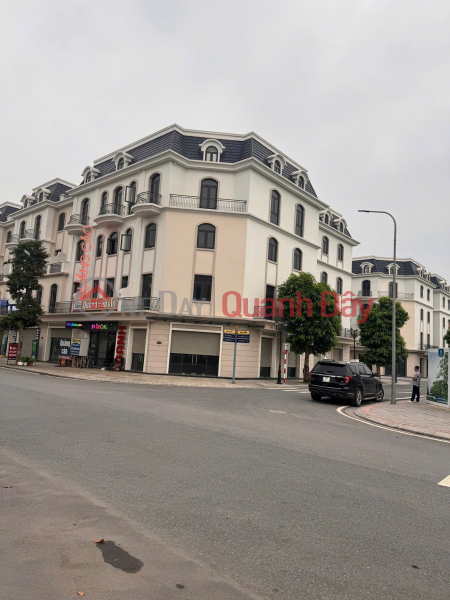 Property Search Vietnam | OneDay | Residential | Sales Listings, Starfish Corner Townhouse - A rare and beautiful location at Vinhomes Ocean Park 2 - Premium amenities