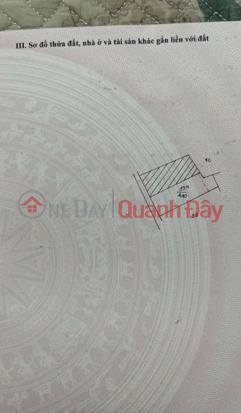 Property Search Vietnam | OneDay | Residential Sales Listings BEAUTIFUL LAND - GOOD PRICE - Urgent Sale 2 Plots of Land 400
