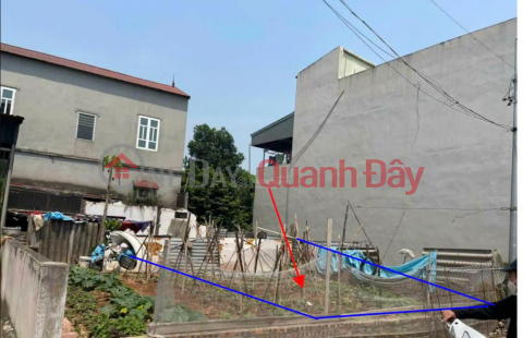 HOT ITEM LEFT! Owner Needs to Sell 52.6m2 Land Lot on Dai Bi Street, Uy No Commune, Dong Anh, Hanoi _0