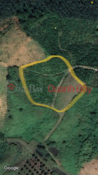 BEAUTIFUL LAND - GOOD PRICE - Tri Dep Land Lot for Sale in Loc Bao Commune, Bao Lam, Lam Dong Sales Listings