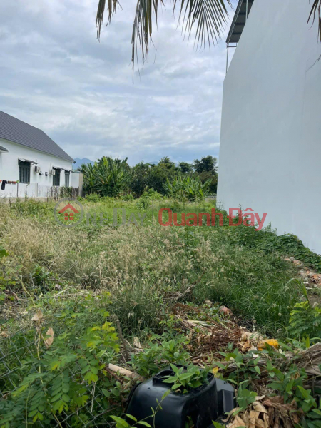 LAND FOR SALE NEXT TO PHU AN NAM 2 URBAN AREA - RESIDENTIAL AND INVESTMENT OPPORTUNITY Sales Listings