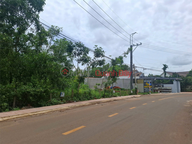 Property Search Vietnam | OneDay | Residential Sales Listings BEAUTIFUL LAND - FRONTAGE - Owner Sells Land Lot At Dieu Xien Street, Bau Tram Commune, Long Khanh, Dong Nai