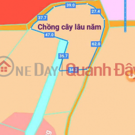 Need to Sell Quickly 4000m2 of Land in Binh Son Commune, Long Thanh District, Dong Nai _0