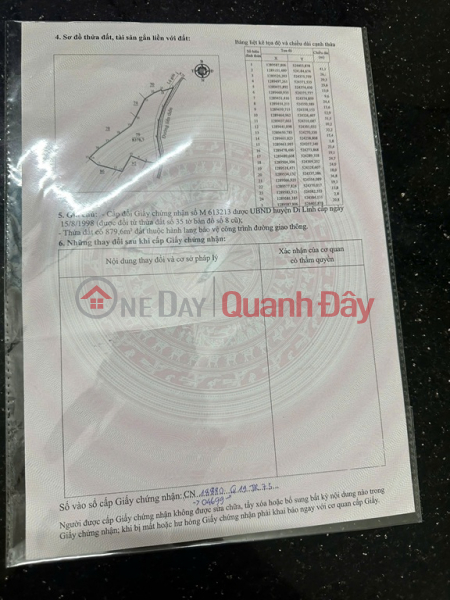 ĐẤT ĐẸP – GIÁ TỐT - CẦN BÁN NHANH LÔ ĐẤT TẠI Xã Tân Lâm, Huyện Di Linh, Tỉnh Lâm Đồng, Việt Nam | Bán đ 430 triệu