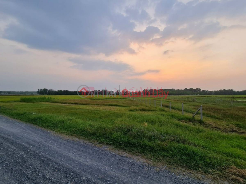 Phu My Hung, Cu Chi district, Ho Chi Minh City Vietnam | Sales đ 40 Billion
