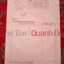 I'm Dai, the owner, selling a house on Nguyen Du Street - Tam Diep, a house that seems made for the elite. _0