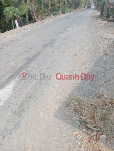 Property Search Vietnam | OneDay | Residential, Sales Listings, OWNER SELLING LOT OF LAND URGENTLY on Kenh Four Street, Tong Thoai Son, An Giang