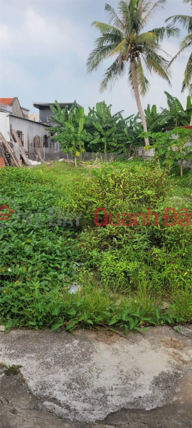 Property Search Vietnam | OneDay | Nhà ở | Niêm yết bán, 7xx triệu – 72.4m2 Tân Trào Kiến Thụy Zalo 0567222555
