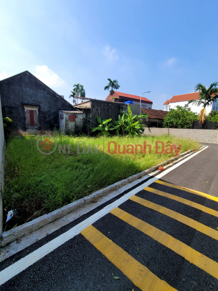 Corner lot for sale with lake view, road frontage of more than 20m at Thang Loi Van Giang Sales Listings