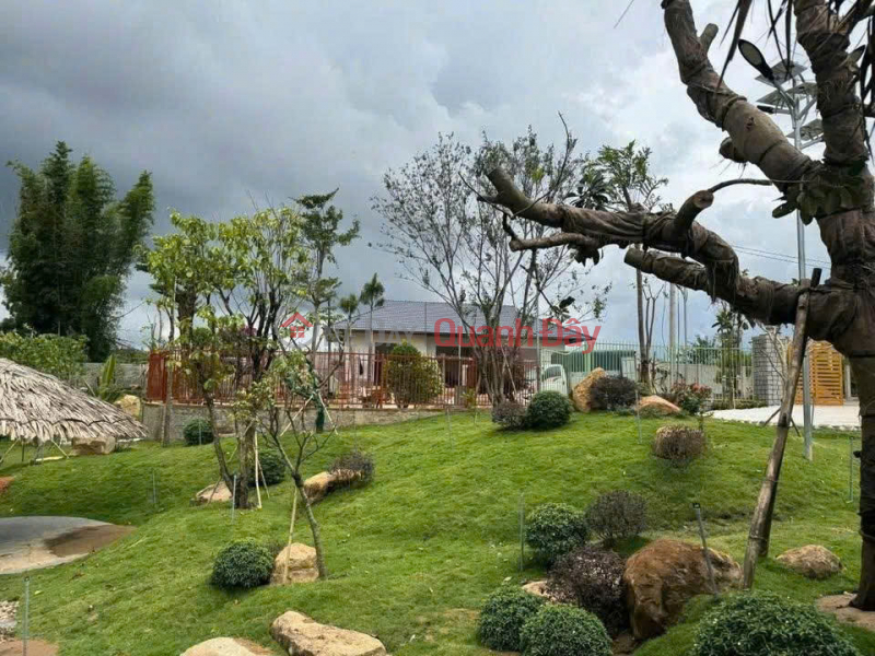 Property Search Vietnam | OneDay | Nhà ở, Niêm yết bán, BÁN ĐẤT – BÁN NHÀ KHU DÂN CƯ MAI ANH ĐÀO – PHÚ HỘI – ĐỨC TRỌNG