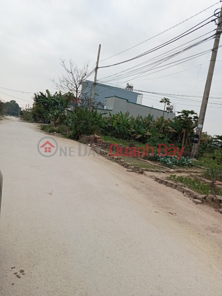 The owner sells a plot of land fronting 8.75m road in Quyet Thang village, Quang Thinh commune - Thanh Hoa city. | Vietnam | Sales | đ 1.25 Billion