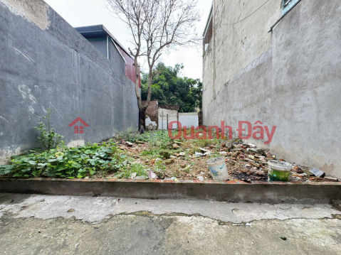 Land for sale in Trang Viet - Me Linh - Hanoi. Area 51m2 - Price 1.87 billion. Adjacent to Thuong Cat Bridge _0