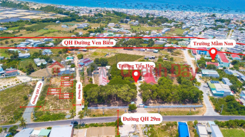 Quick Sale 105m2 Beach Land in Binh Thuan 29m Road Near Highway-Industrial Park-Seaport-Airport _0