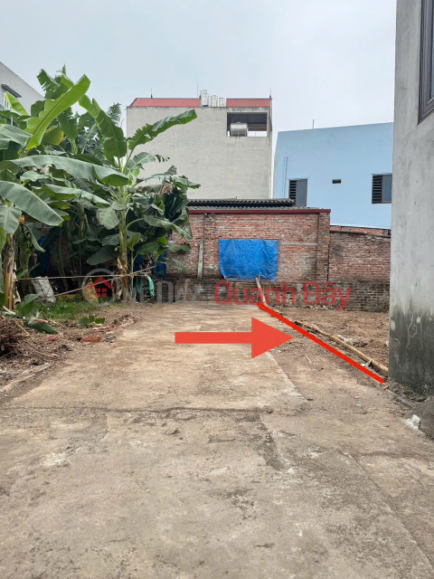 Land for sale in Trang Viet village, Trang Viet commune, Me Linh. Beautiful square plot of land, full residential land, car parking _0