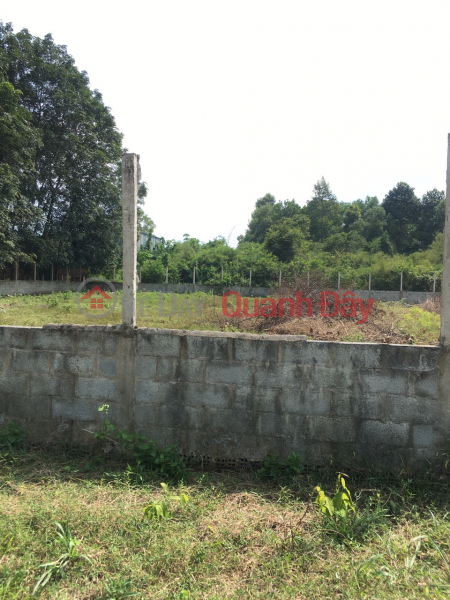 Selling Land 15M Horizontal Truck Alley Good Price Xuan Thoi Thuong Hoc Mon Sales Listings