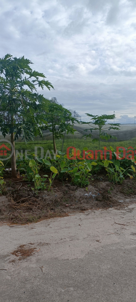 Property Search Vietnam | OneDay | Residential | Sales Listings Selling urgently, the owner has a lot of debt, 573m2 of land near Phu Chanh market, Tan Uyen, price 2.2 billion