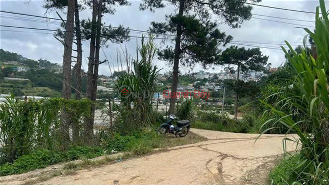 HOT HOT - NEED TO SELL 3 BEAUTIFUL LAND LOTS at Ngo Thi Sy, Ward 4, Da Lat City, Lam Dong, Vietnam Sales, đ 900 Million