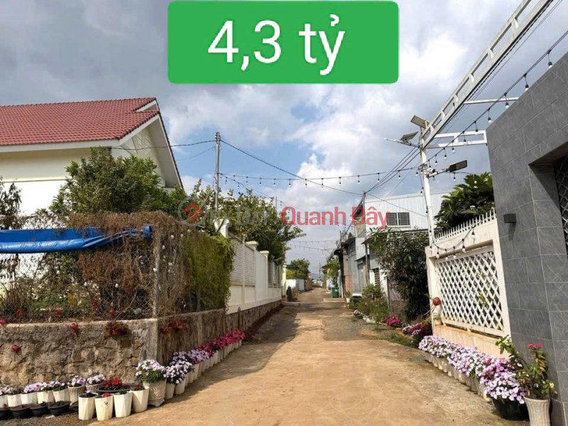 369m2 land for sale in Tran Phu, Lien Nghia, Duc Trong, Lam Dong - price 4.3 billion VND. Sales Listings