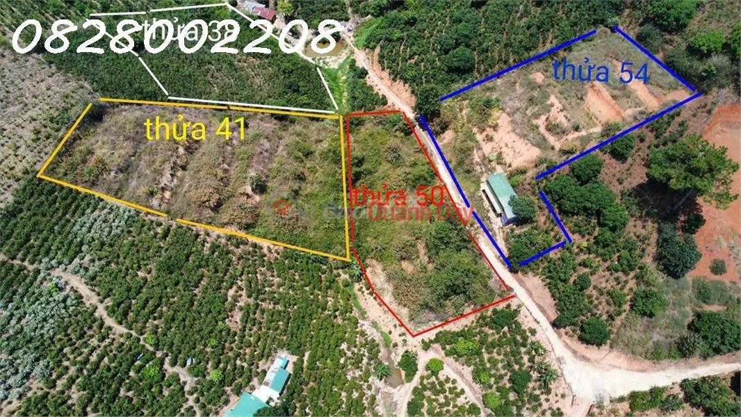 Owner quickly sells 5518m2 of land in Xuan Truong, Da Lat, price 4.5 billion Sales Listings