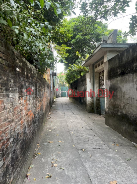 The family has no need to use it and needs to sell the land plot in Hanh Lac Village, Nhu Quynh, Van Lam Sales Listings