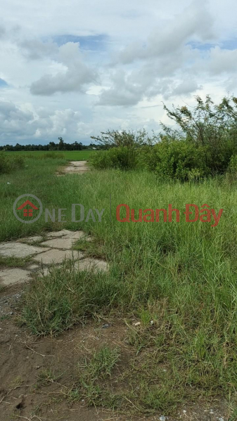 HOT HOT - URGENTLY NEED TO SELL 5 LOTS OF LAND At Cho Hamlet, Long Hiep Commune, Tra Cu, Tra Vinh Sales Listings