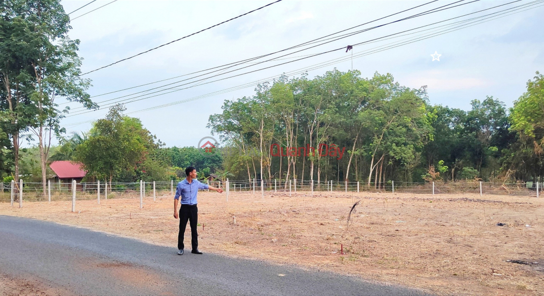 Bank-suffocated owner needs to sell Chon Thanh land plot at cheap price, Vietnam | Sales | đ 250 Million