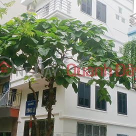CC for sale 4.5-storey house, 44\/50m2, Tk2, Corner lot with 3 open sides, Xa La urban area - Ha Dong. _0