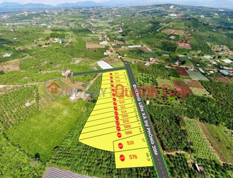 Owner selling quickly at a good price: 4 plots of land in Tan Ha, Lam Ha - Each plot over 500m2 - Only 1.099 billion VND per plot. _0