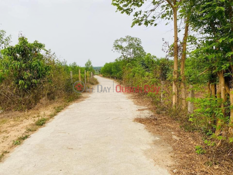 Property Search Vietnam | OneDay | Nhà ở Niêm yết bán | BÁN LÔ ĐẤT QH FULL THỔ CƯ 500,6M2 - NGAY MẶT TIỀN ĐƯỜNG RỘNG 5,5m TẠI SUỐI TIÊN - DIÊN KHÁNH!