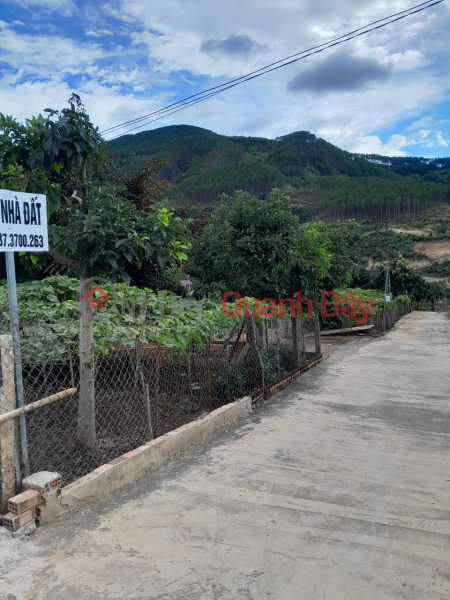 Property Search Vietnam | OneDay | Residential | Sales Listings PRIME LAND FOR OWNER - GOOD PRICE - LAND FOR SALE AT Thanh Tri, Dong Thanh Commune, Lam Ha District, Lam Dong Province