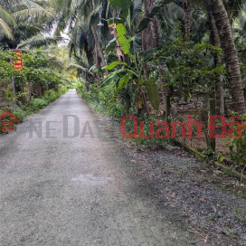 OWNER Needs to Quickly Sell Garden Land in Hoa Dinh Commune, Cho Gao, Tien Giang _0