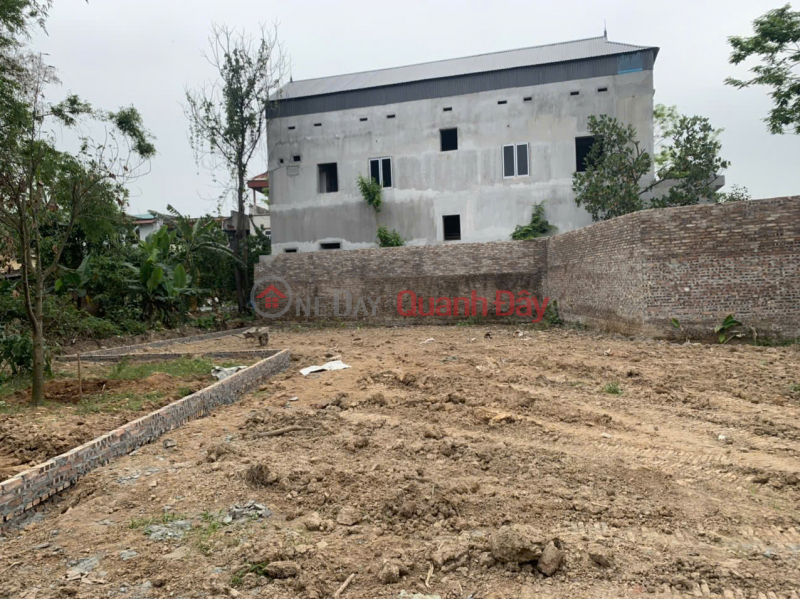 Property Search Vietnam | OneDay | Residential Sales Listings | CHEAPEST IN DONG ANH - CARS AVOID - FIRST PRICE 2 - 350M THUY LAM