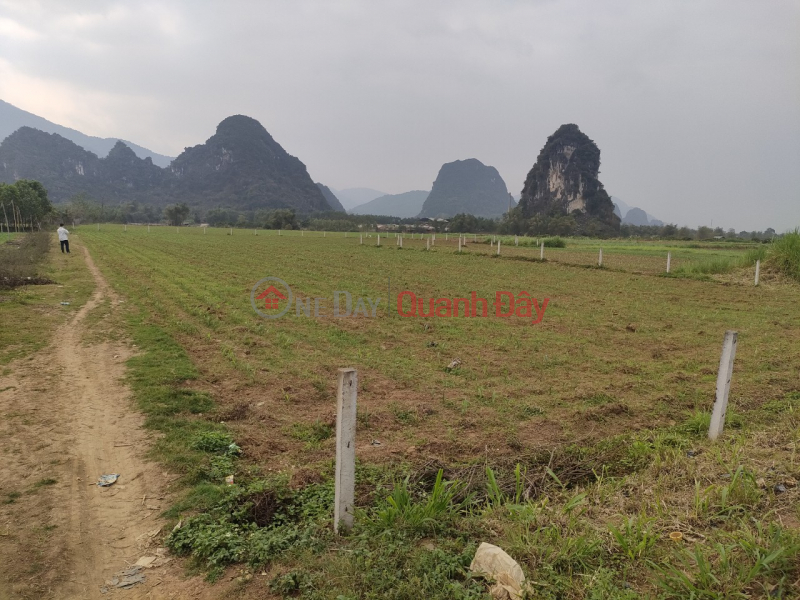 Property Search Vietnam | OneDay | , Niêm yết bán | Chính chủ cần bán lô đất vườn tại kim bôi hoà bình