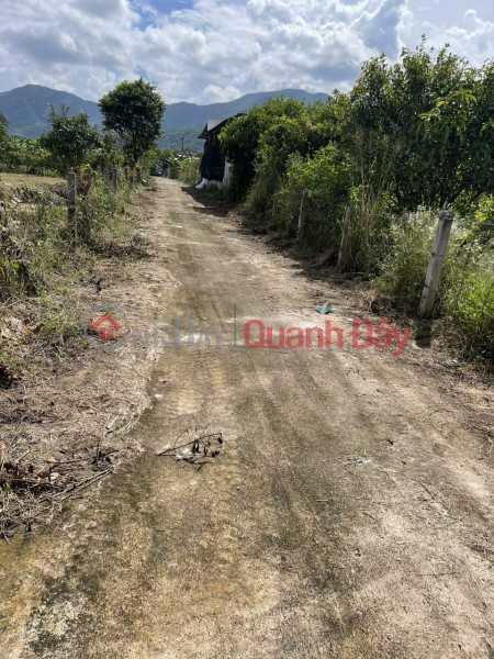 LAND LOT WITH FULL LAND AREA OF 500.6M2 - LOCATED ON 5.5M WIDE ROAD IN SUOI TIEN - DIEN KHANH! Sales Listings