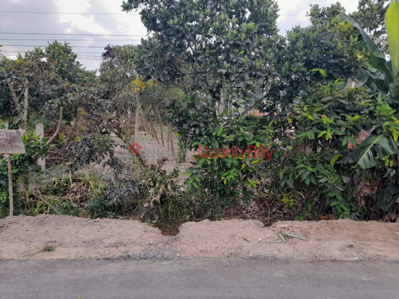 OWNER FOR SALE LOT OF LAND BEAUTIFUL LOCATION - GOOD PRICE In Doc Binh Kieu Commune, Thap Muoi District, Dong Thap Vietnam | Sales | đ 2.1 Billion