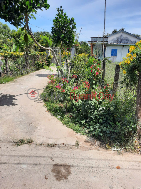 PRIME LAND - GREAT PRICE - Urgent Sale of Land Plot in Binh Luong 1 Hamlet, Binh Thanh Commune, Thu Thua District, Long An Province. _0