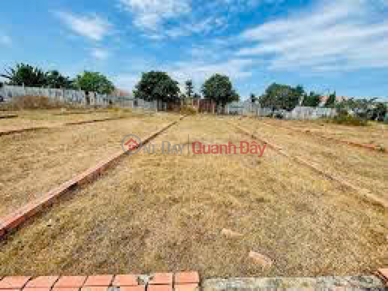 Bank auctions off houses and land at Road No. 18 (Dien Bien Phu); Lac Tanh Town, Tanh Linh, Binh Thuan Province., Vietnam, Sales đ 86 Billion