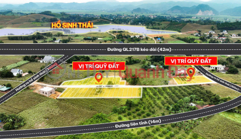 Need to sell about 15 plots of land in Thanh My commune - Thach Thanh - near the lake - attractive investment price! _0