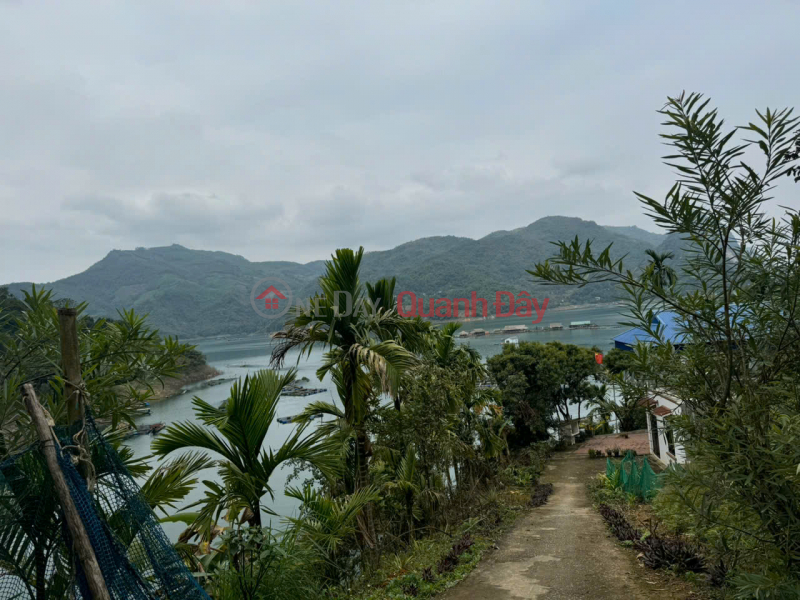 Property Search Vietnam | OneDay | Residential, Sales Listings BEAUTIFUL LAND AT GOOD PRICE IN VOI RESIDENTIAL GROUP - THAI BINH WARD - HOA BINH CITY