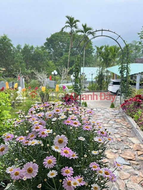 ► Khu Nghỉ Dưỡng Village GarDen, 2790m2, xã Nông Sơn, 8.5 tỷ _0