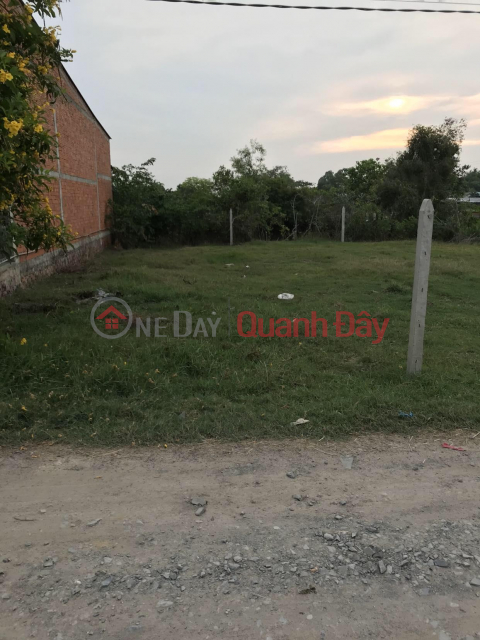 OWNER NEEDS TO SELL LOT OF LAND FRONT OF Lap Thanh Hamlet, Hoa Khanh Tay Commune - Duc Hoa, Long An _0