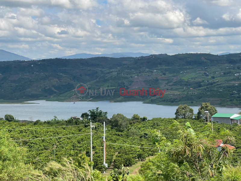 đ 8.3 Billion, OWNER NEEDS TO QUICKLY SELL CAFE LOT WITH VIEW OF HYDROELECTRIC LAKE In Tan Ha, Lam Ha, Lam Dong - SUPER GOOD PRICE