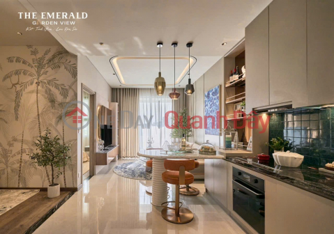 Own an Emerald Garden View apartment right in the city center for only 7 million VND\/month, located on Nguyen Chi Thanh street. _0