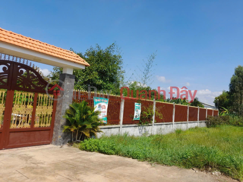 OWNER selling land on Street No. 3, Boi Loi, Ninh Phuc Quarter, Ninh Thanh Ward, Tay Ninh City _0